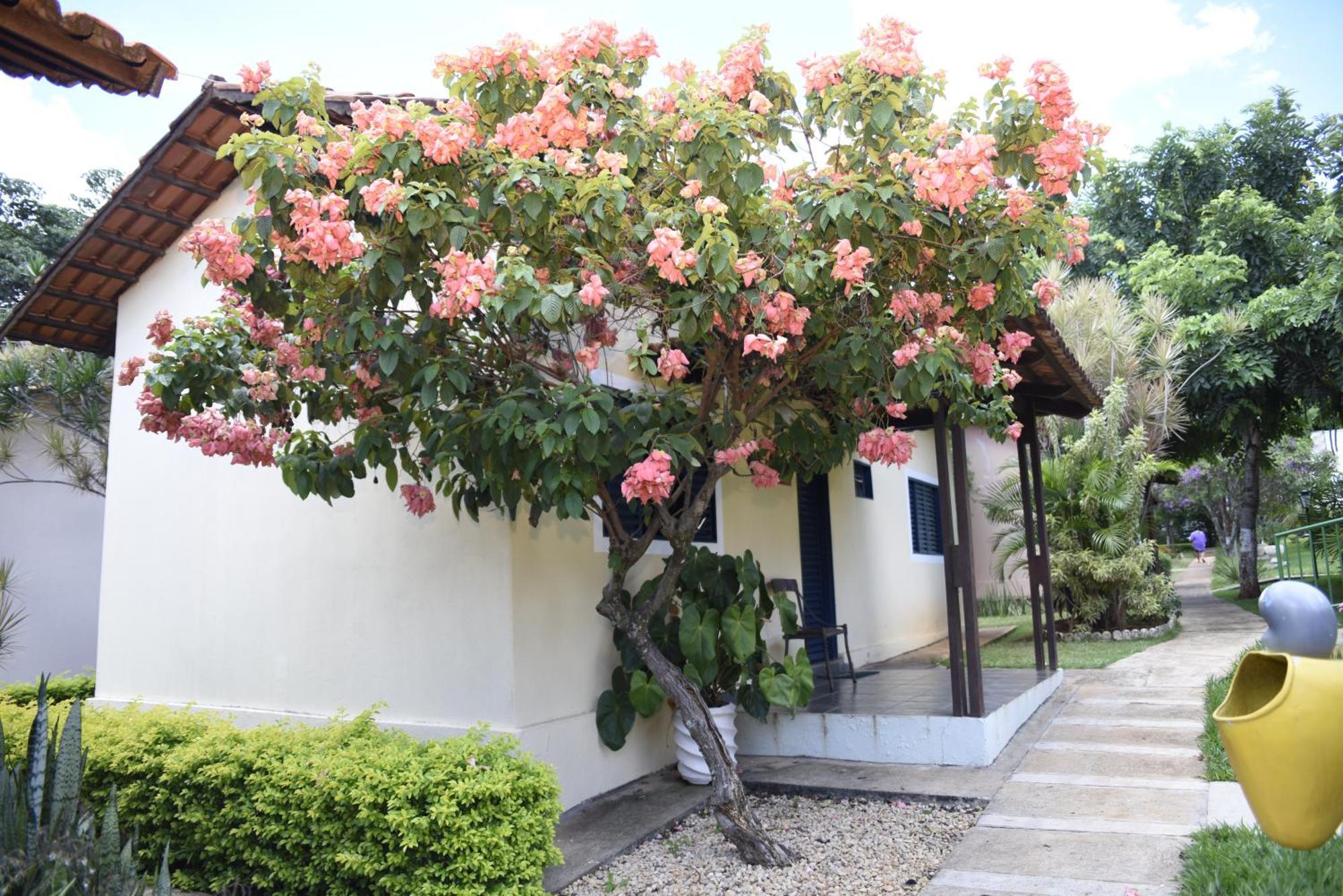 Rosa Spa E Pousada Aparecida de Goiânia Exterior photo